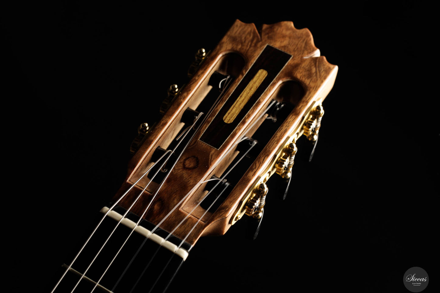 Ramin Fallah - 2024 No. 461 Spruce Granadillo