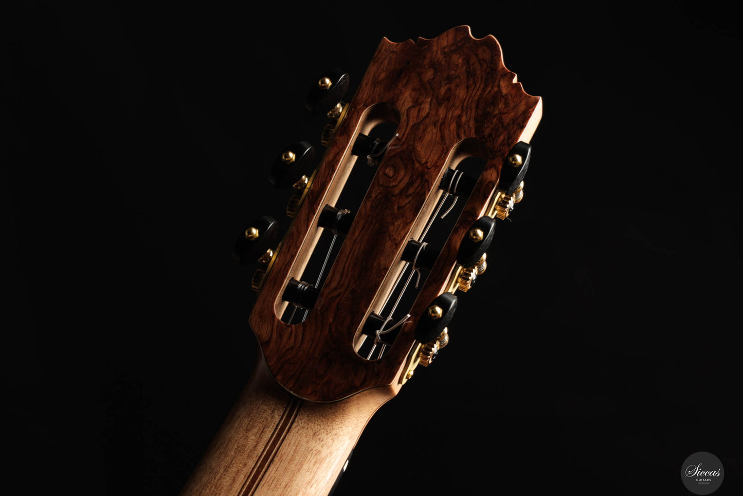 Ramin Fallah - 2024 No. 461 Spruce Granadillo