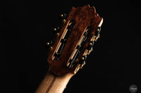 Ramin Fallah - 2024 No. 461 Spruce Granadillo