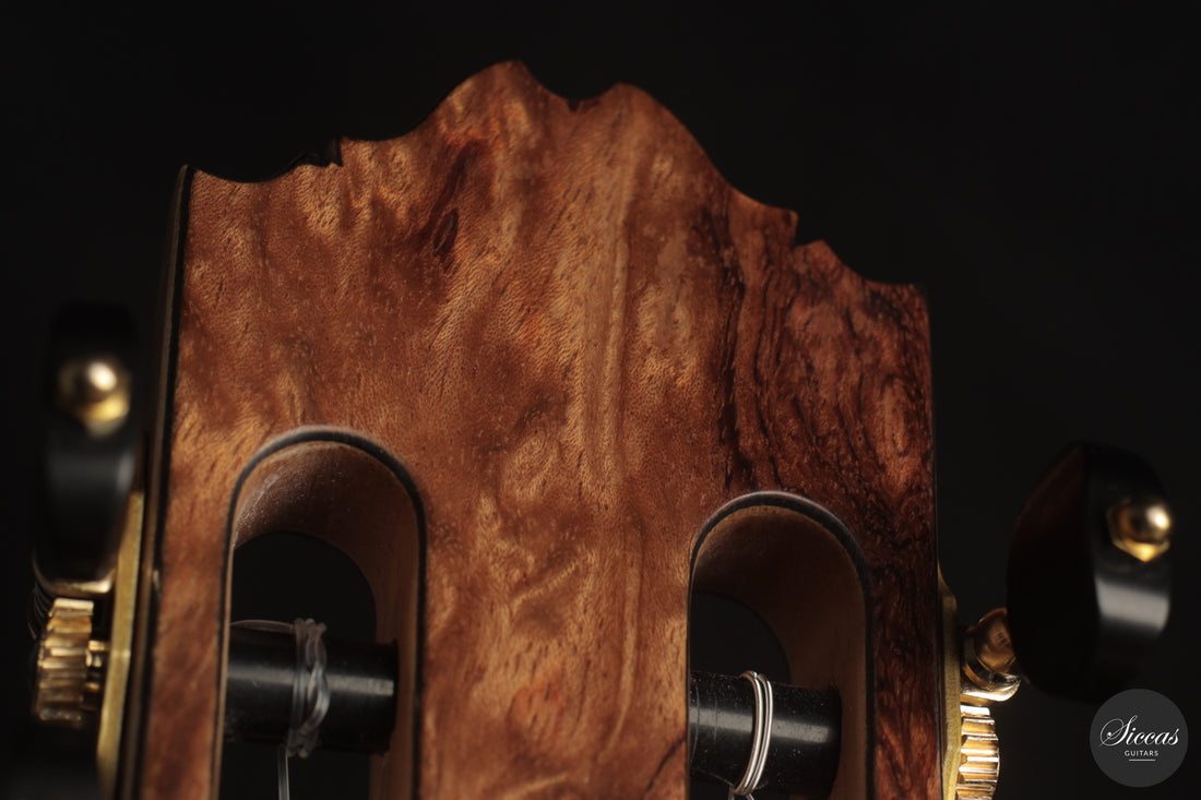 Ramin Fallah - 2026 No. 484