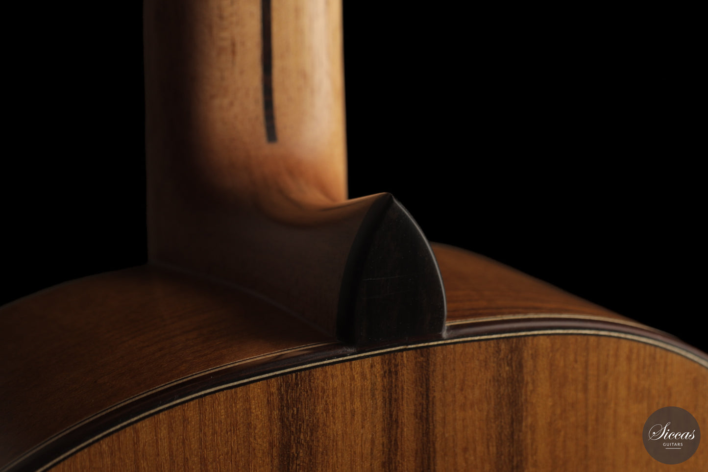 Ramin Fallah - 2026 No. 484