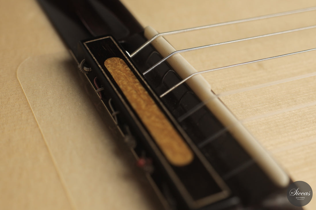 Ramin Fallah - 2026 No. 484