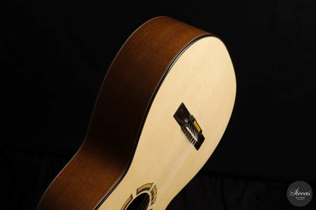 Ramin Fallah - 2026 No. 484