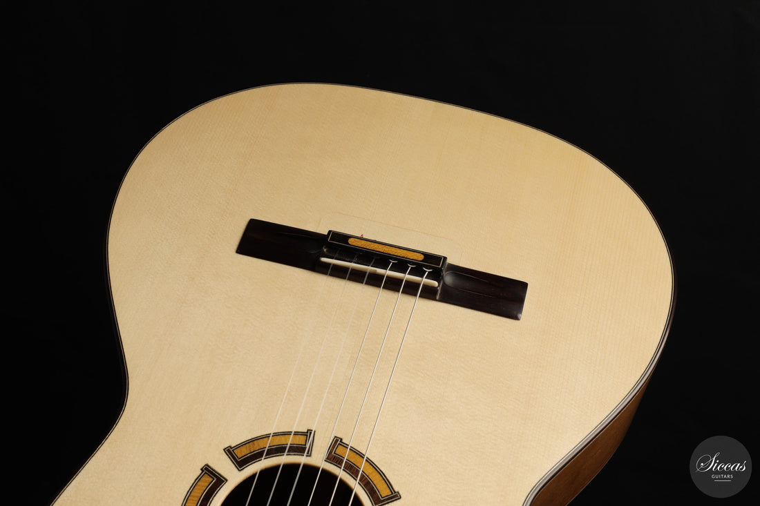 Ramin Fallah - 2026 No. 484