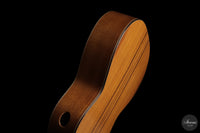 Ramin Fallah - 2026 No. 484