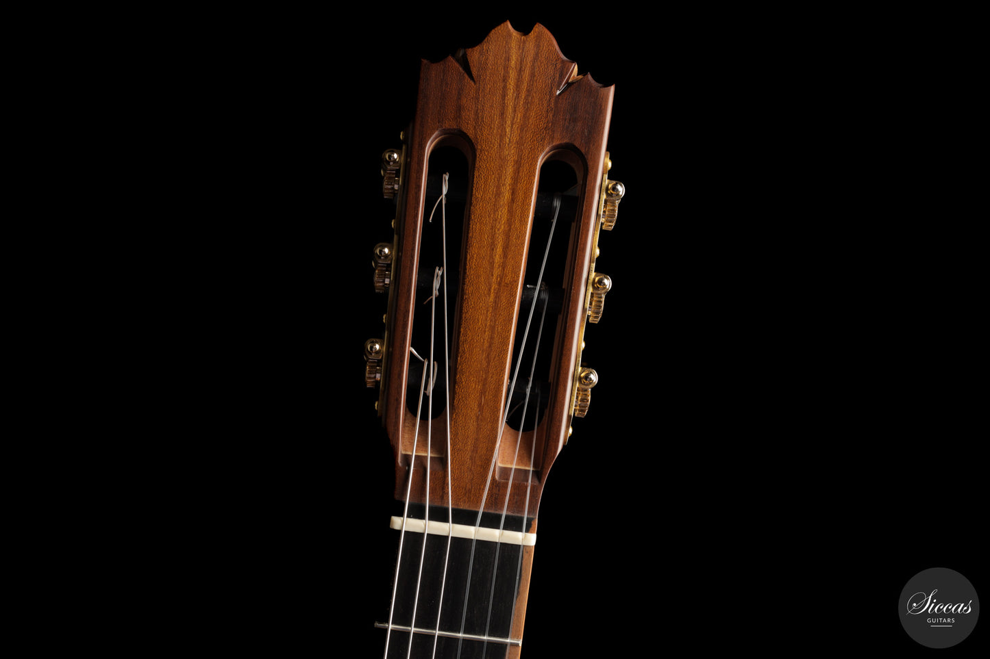 Ramin Fallah - 2026 No. 484