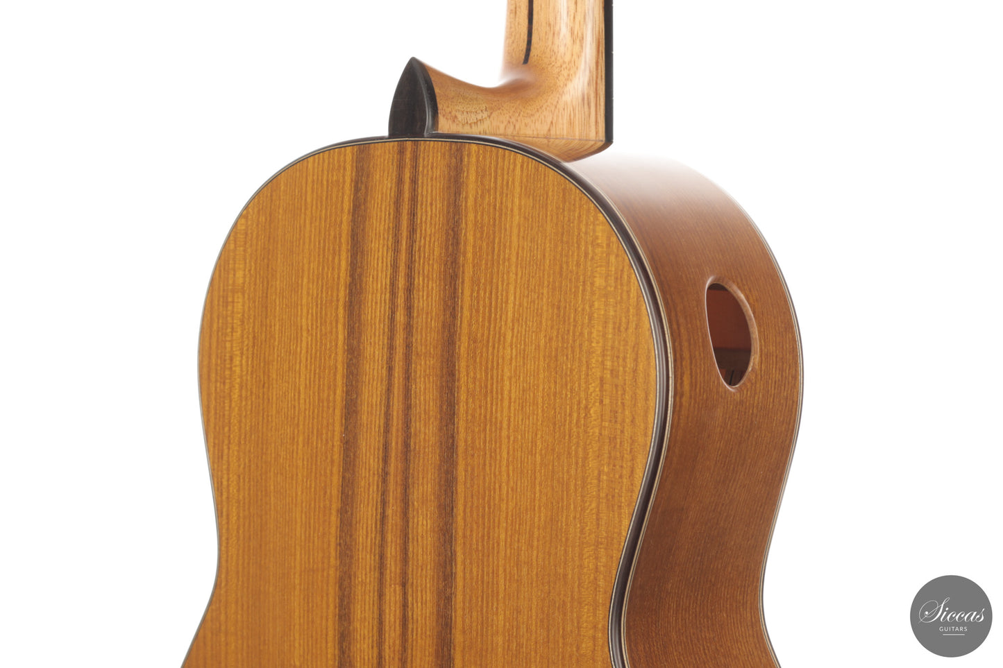 Ramin Fallah - 2026 No. 484