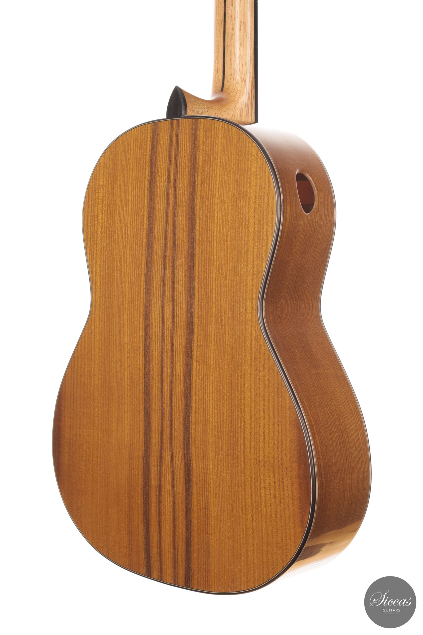 Ramin Fallah - 2026 No. 484