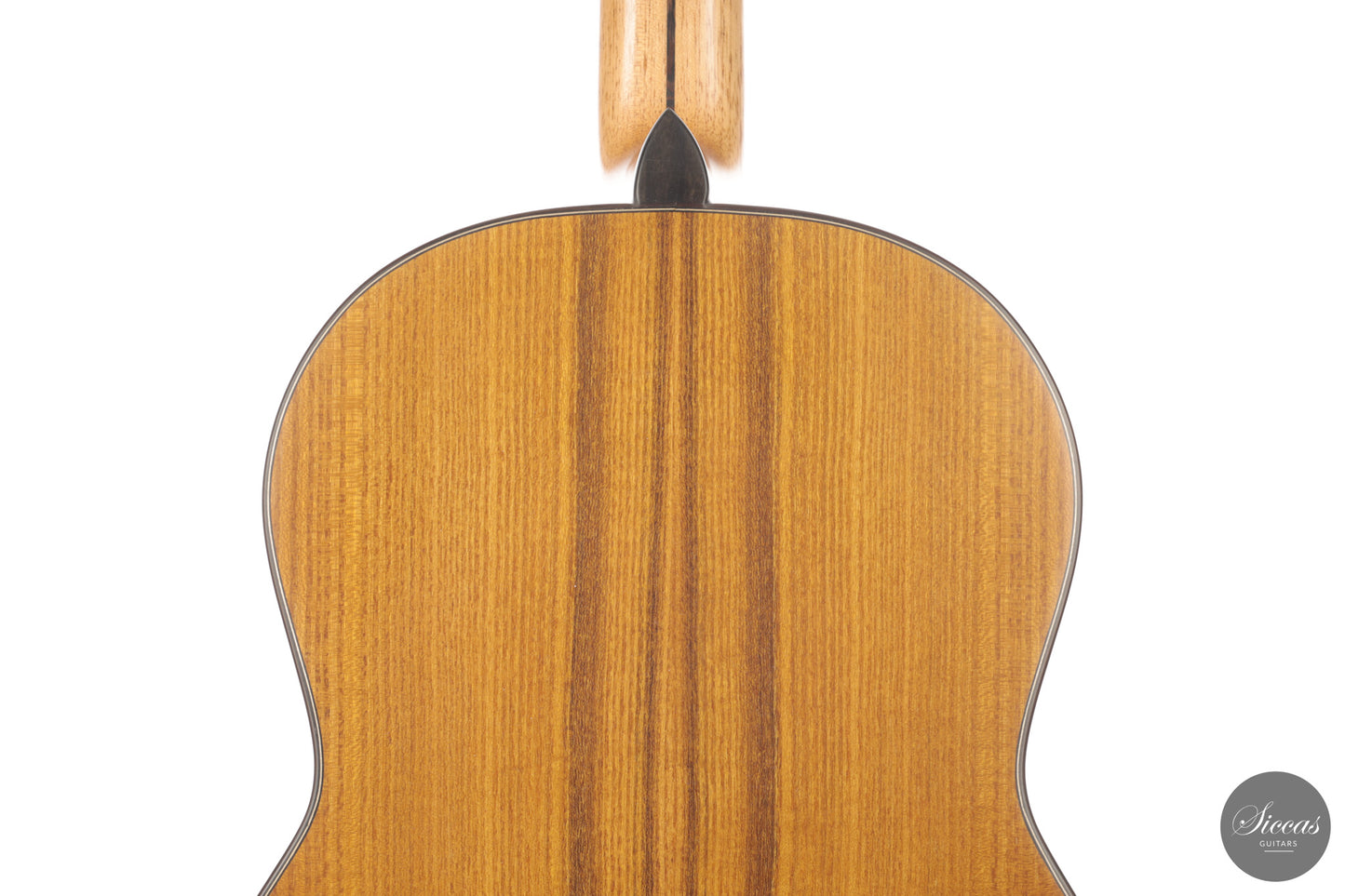 Ramin Fallah - 2026 No. 484