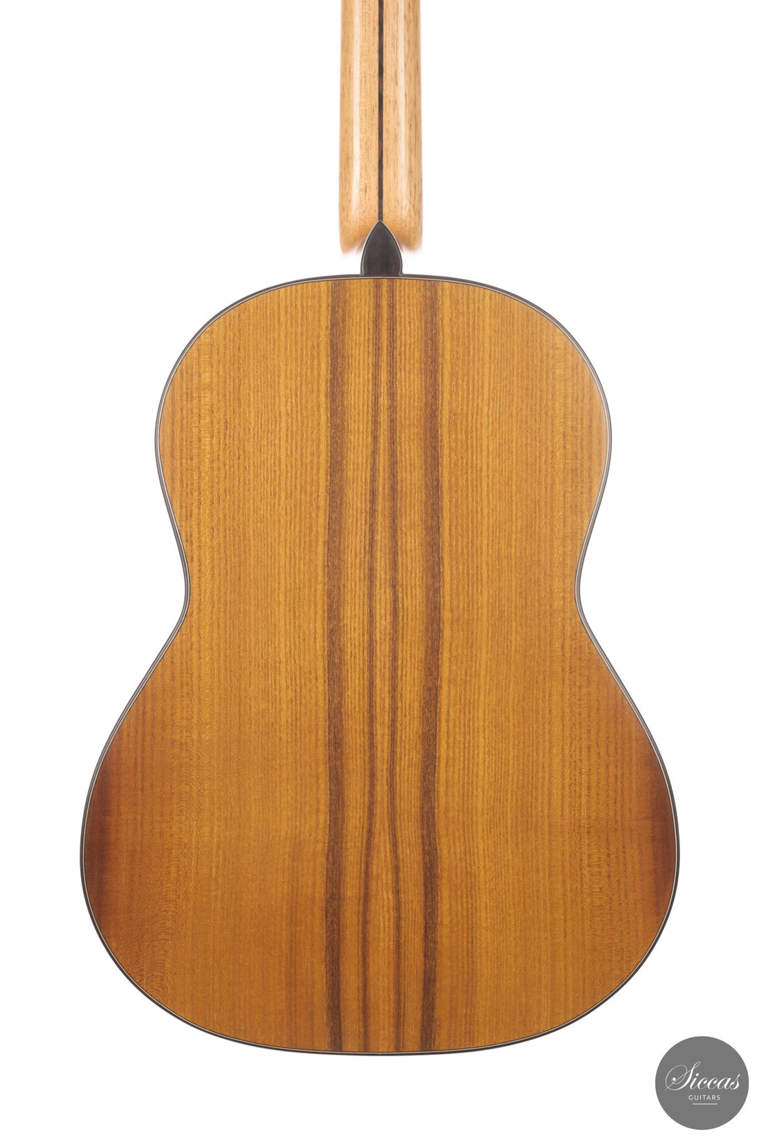 Ramin Fallah - 2026 No. 484