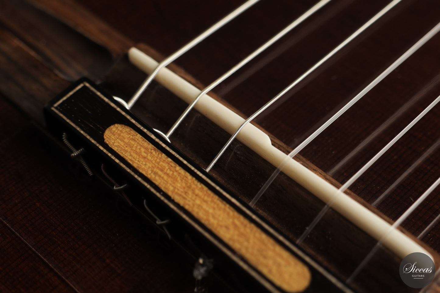 Ramin Fallah - 2026 No. 483