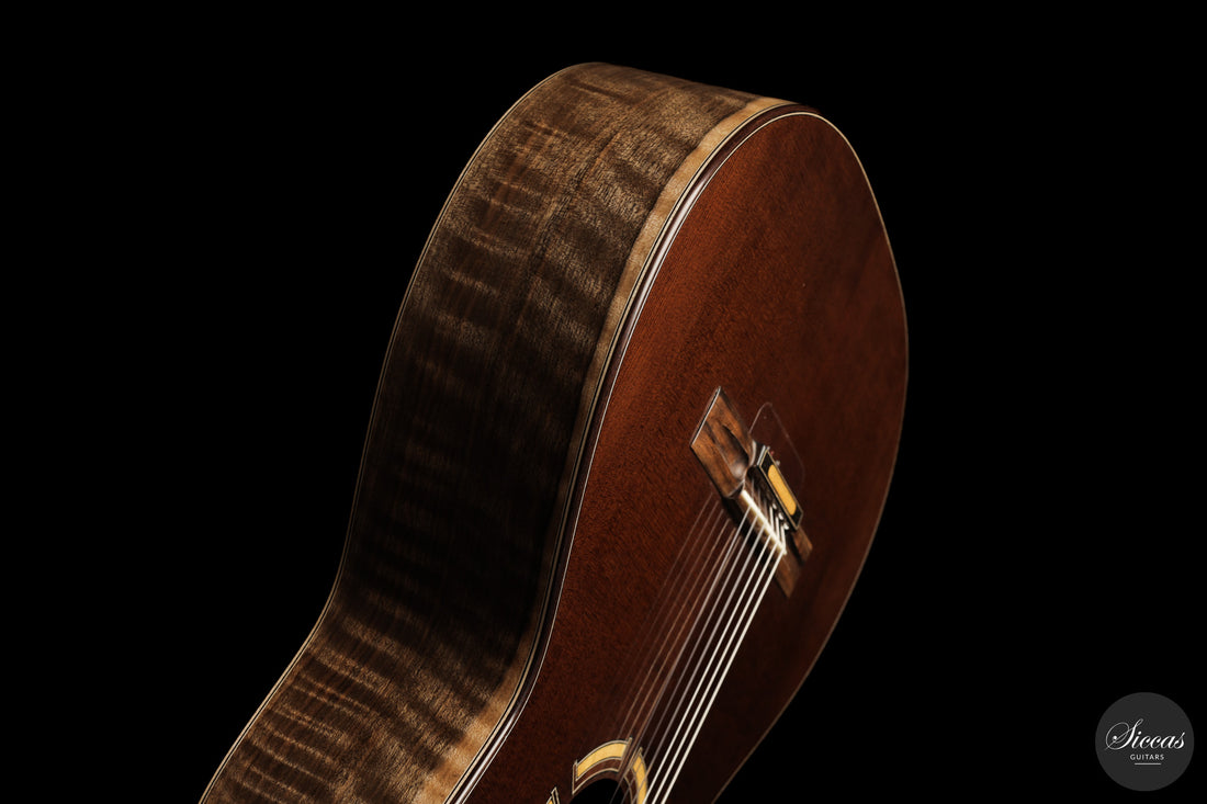 Ramin Fallah - 2026 No. 483