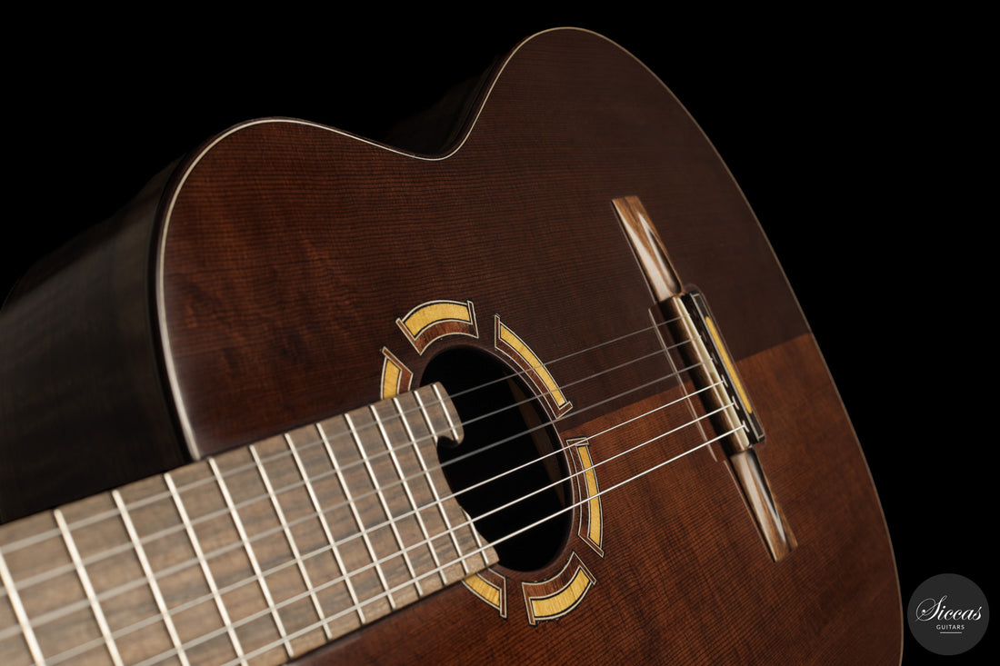 Ramin Fallah - 2026 No. 483