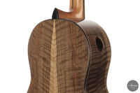 Ramin Fallah - 2026 No. 483