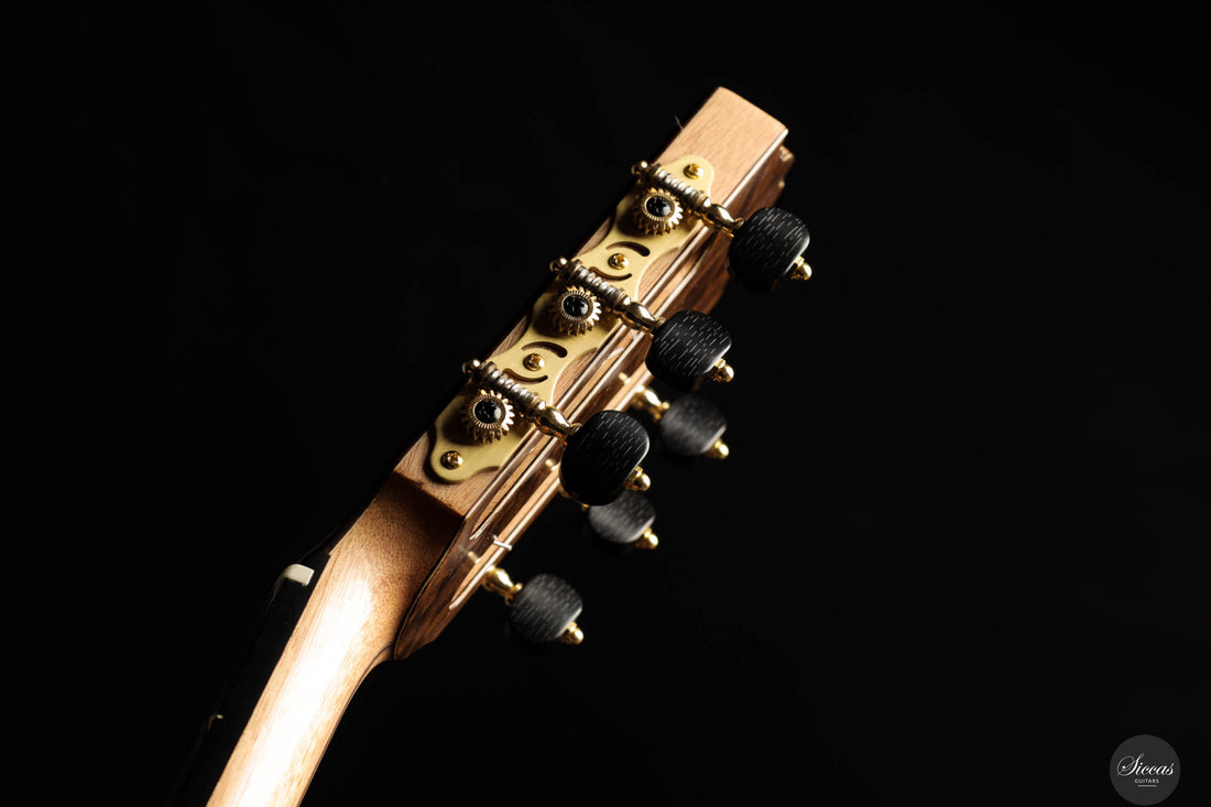 Ramin Fallah - 2024 Dreamy No.460 Spruce/Indian