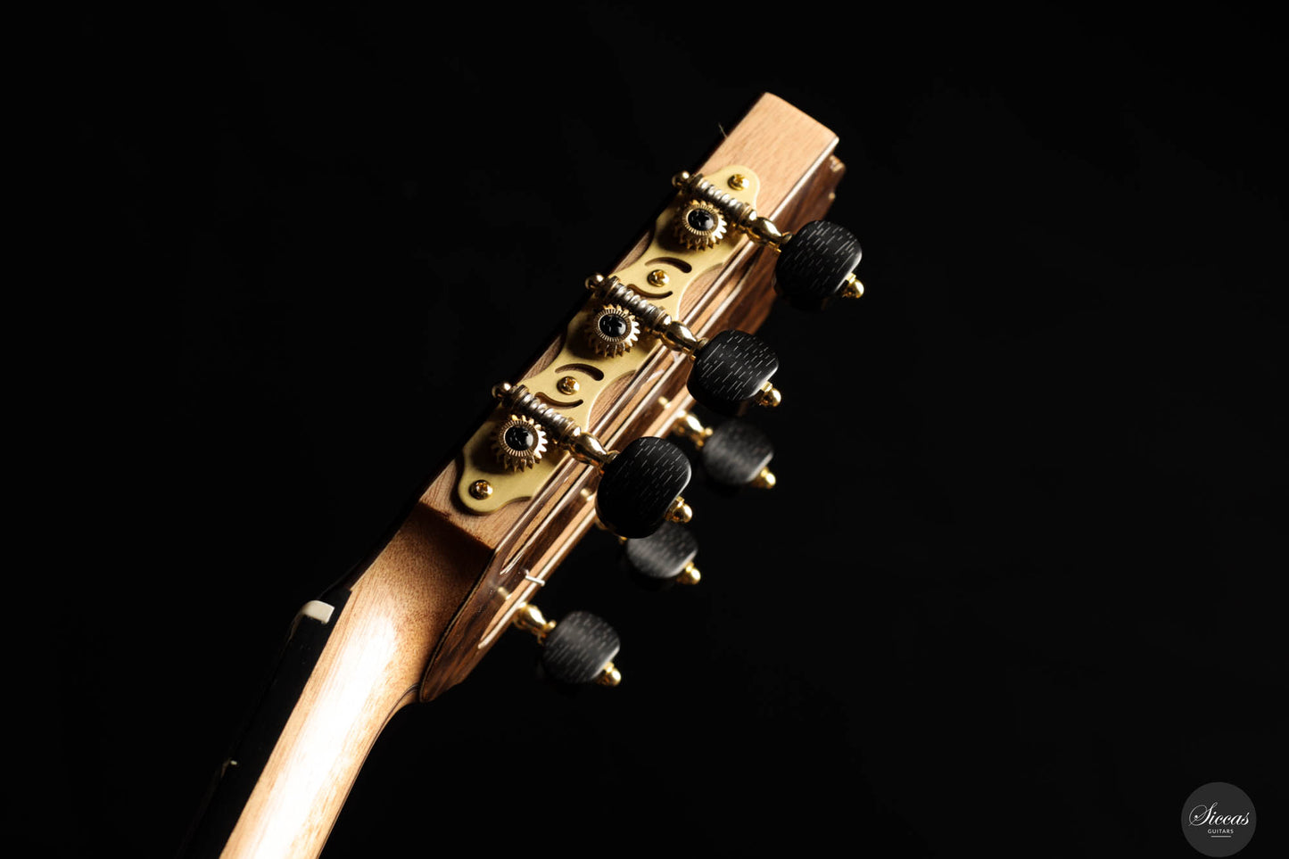 Ramin Fallah - 2024 Dreamy No.460 Spruce/Indian