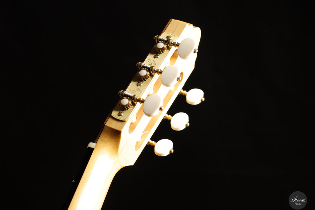 2025 REG Limited Edition "Italica" - Neck and tuner