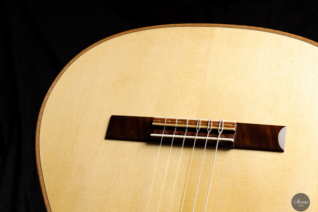 2025 REG Limited Edition "Italica" - Front view