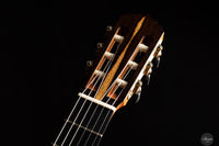 Reza Safavian - 2025 Doubletop