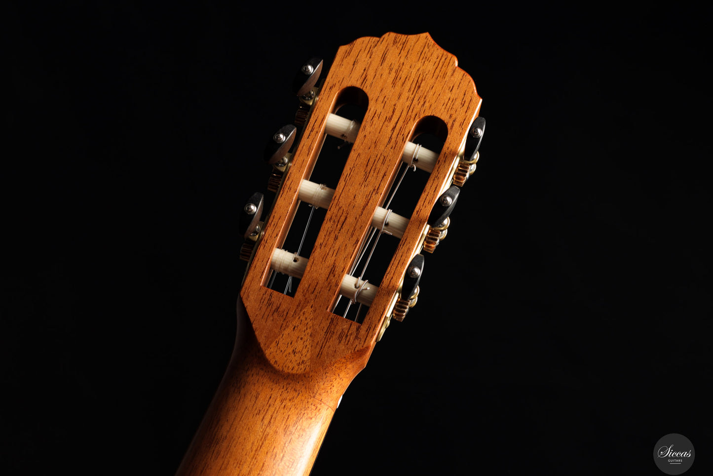 Reza Safavian - 2025 - Doubletop