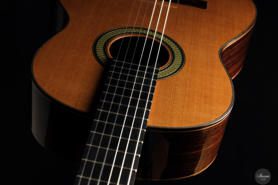 Reza Safavian - 2025 - Doubletop