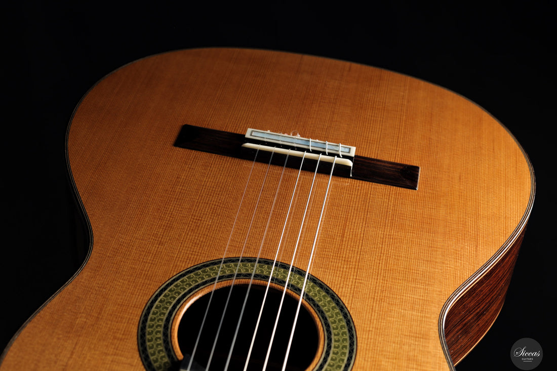 Reza Safavian - 2025 - Doubletop