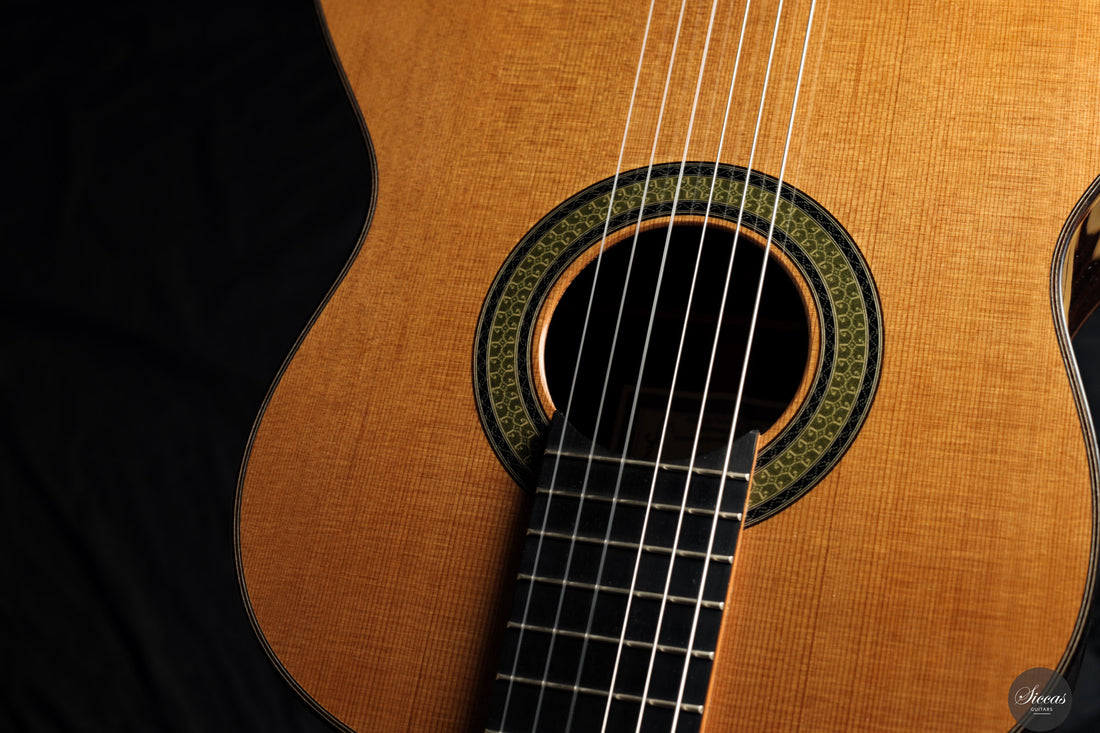 Reza Safavian - 2025 - Doubletop