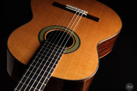 Reza Safavian - 2025 - Doubletop