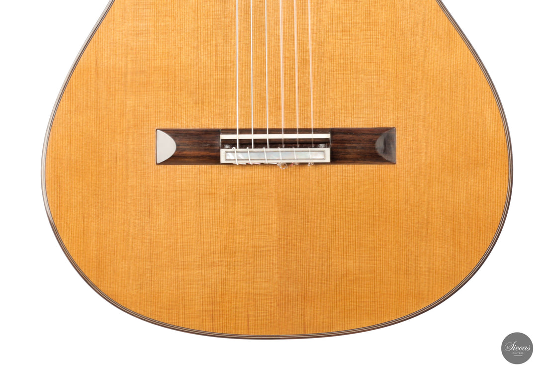 Reza Safavian - 2025 - Doubletop