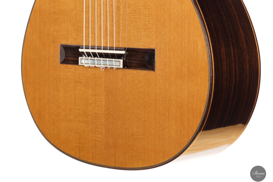 Reza Safavian - 2025 - Doubletop