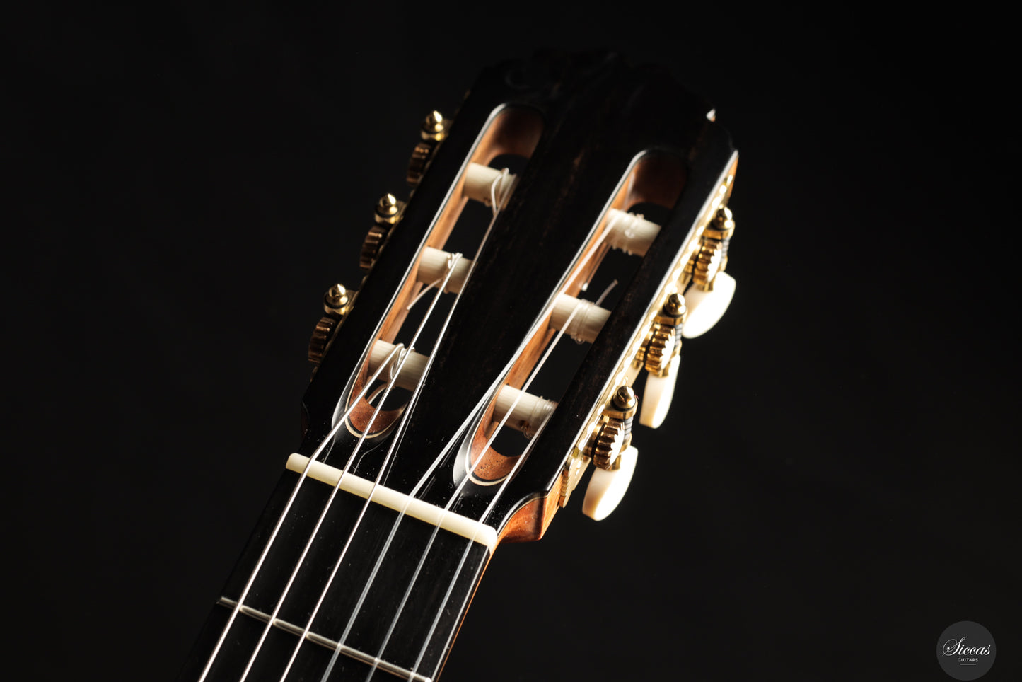 Rojas & Sanzol - 2025 Apollinea