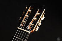 Rojas & Sanzol - 2025 Apollinea