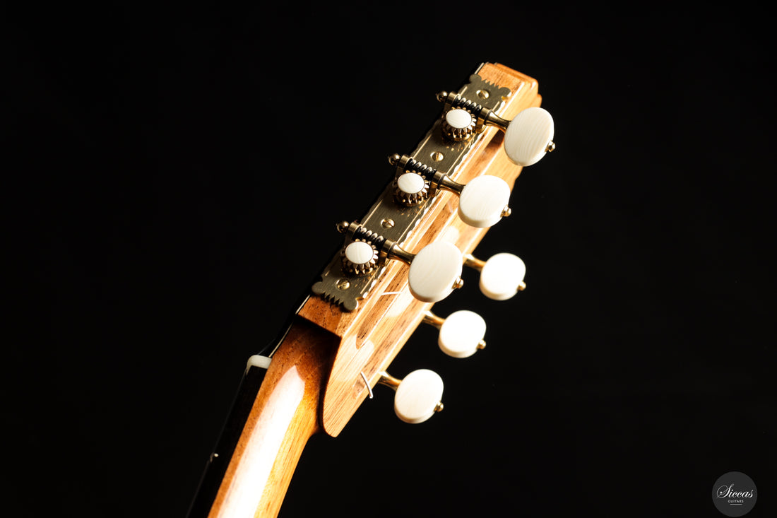 Rojas & Sanzol - 2025 Apollinea