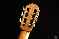 Rojas & Sanzol - 2025 Apollinea