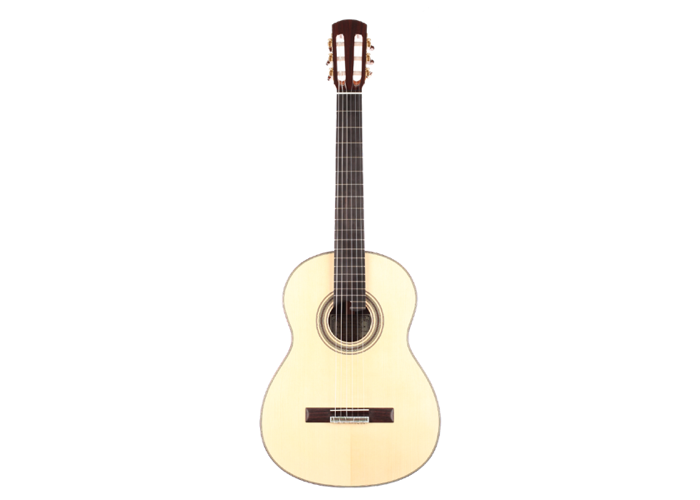 Roy Fankhänel - Special Edition 2016