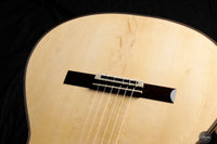 Sebastiano Fracasso - 2024 Caparbia - 64cm