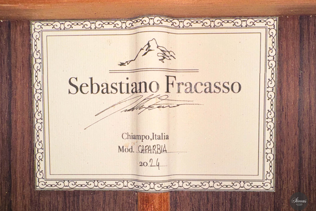 Sebastiano Fracasso – 2024