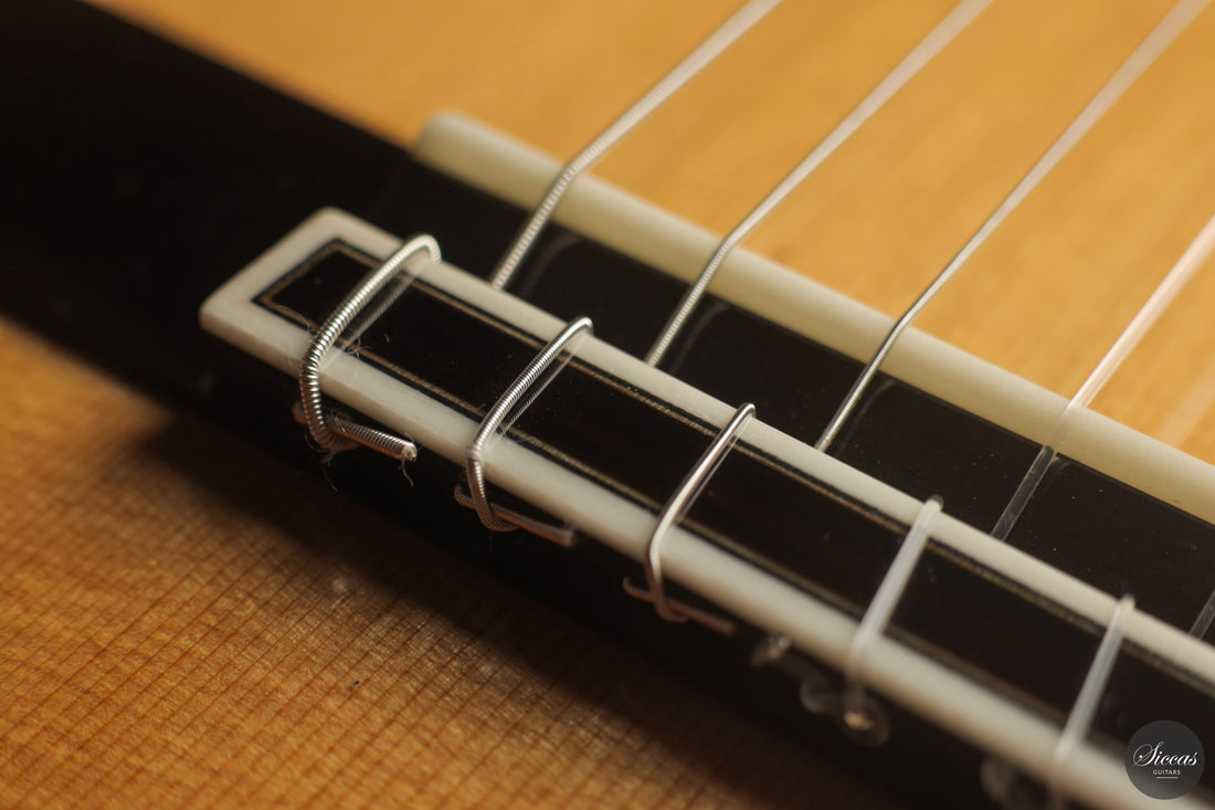 Siccas Luthiers - Origin Lattice Cedar