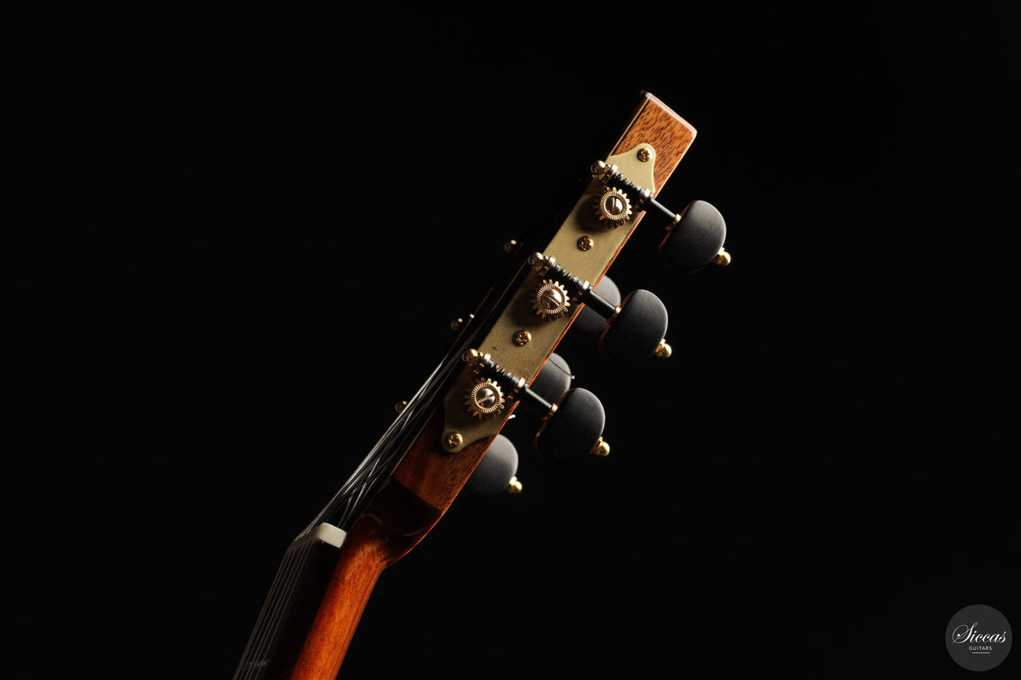 Siccas Luthiers - Origin Lattice Cedar