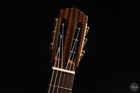 Siccas Luthiers - Origin Lattice Cedar
