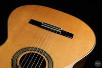 Siccas Luthiers - Origin Lattice Cedar