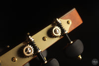 Siccas Luthiers - Origin Lattice Spruce
