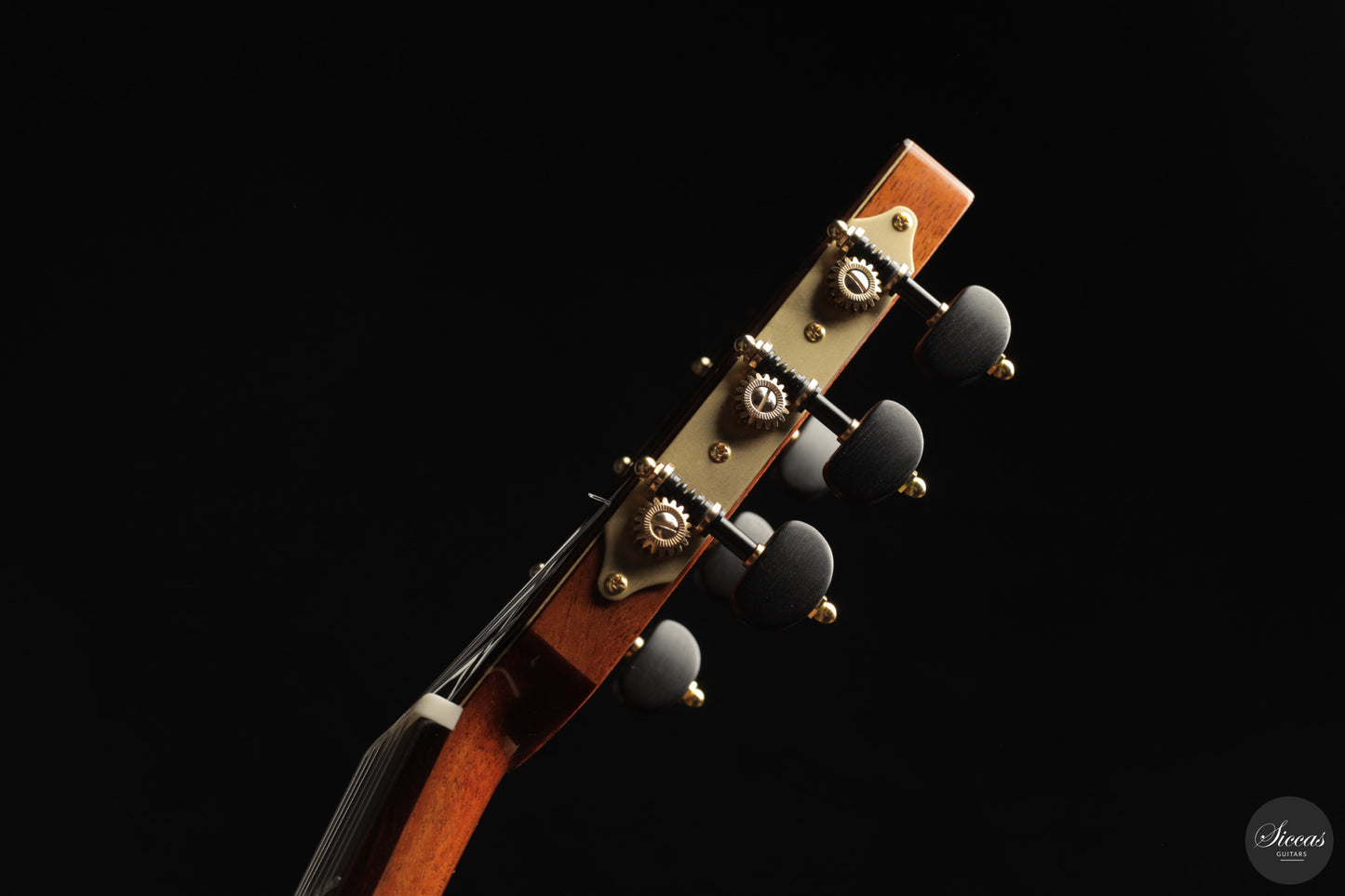 Siccas Luthiers - Origin Lattice Spruce