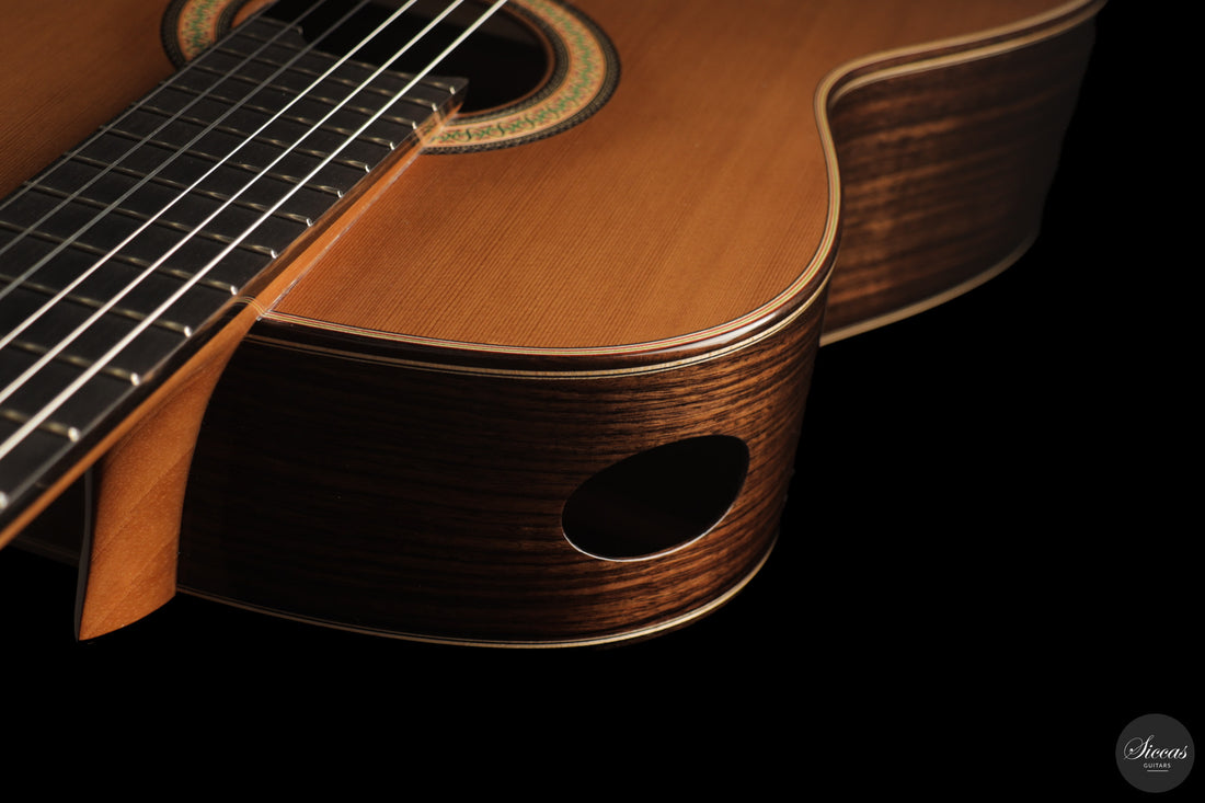 Siccas Luthiers - Continuum Lattice Cedar