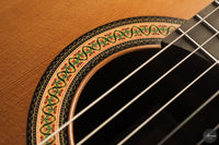 Siccas Luthiers - Continuum Lattice Cedar