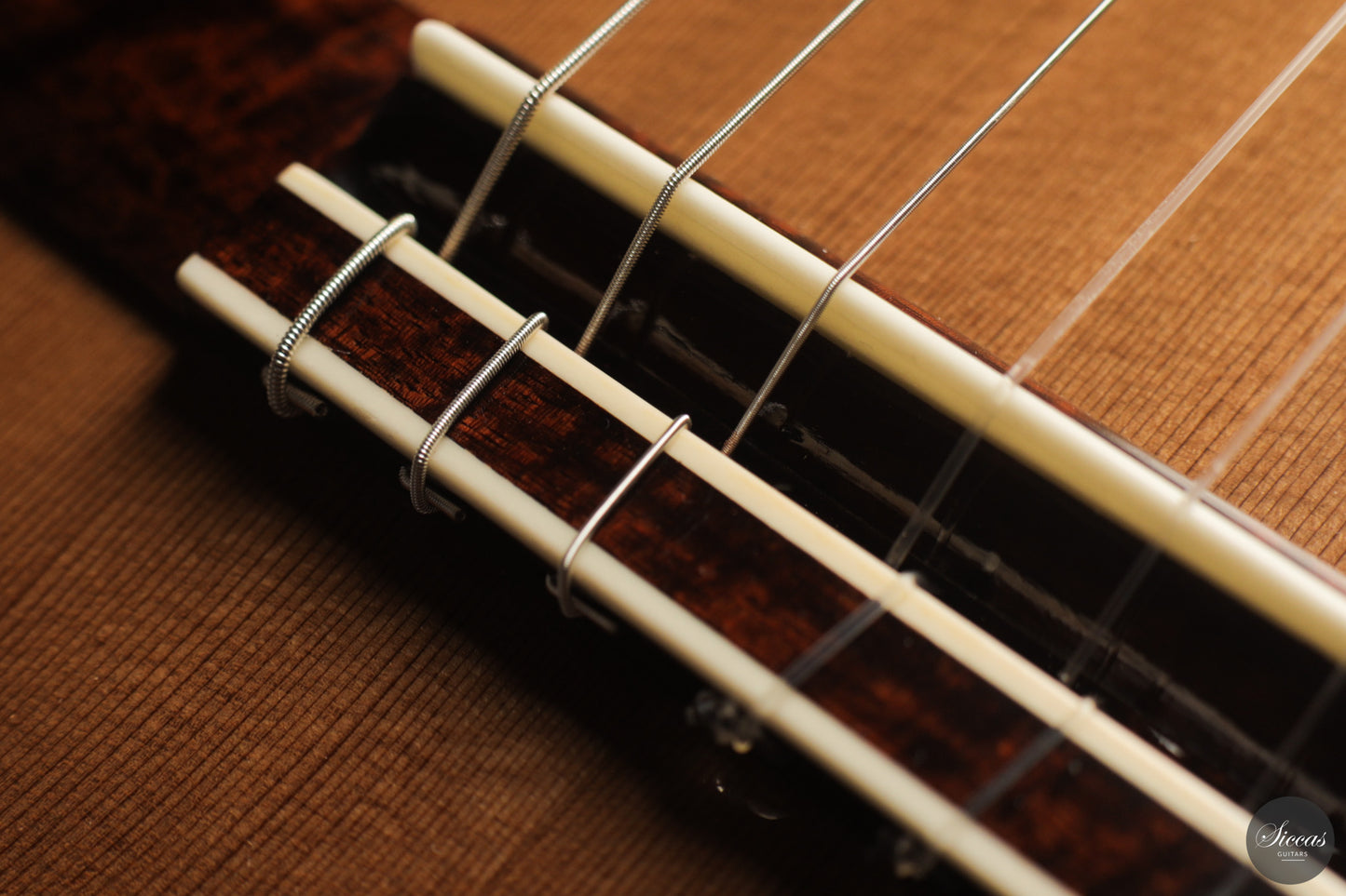 Siccas Luthiers - Continuum Lattice Cedar 64 cm
