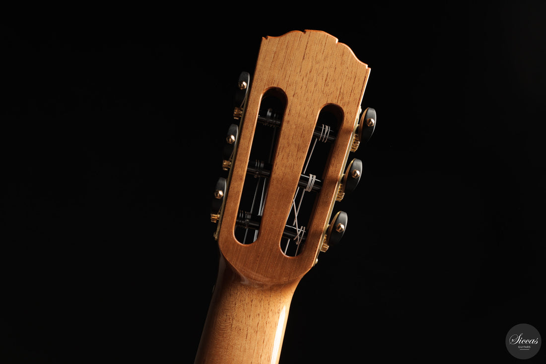 Siccas Luthiers - Continuum Lattice Cedar
