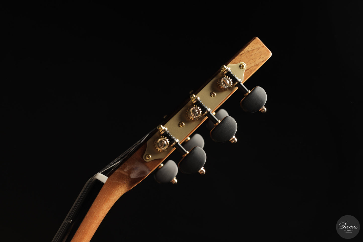 Siccas Luthiers - Continuum Lattice Cedar 64 cm