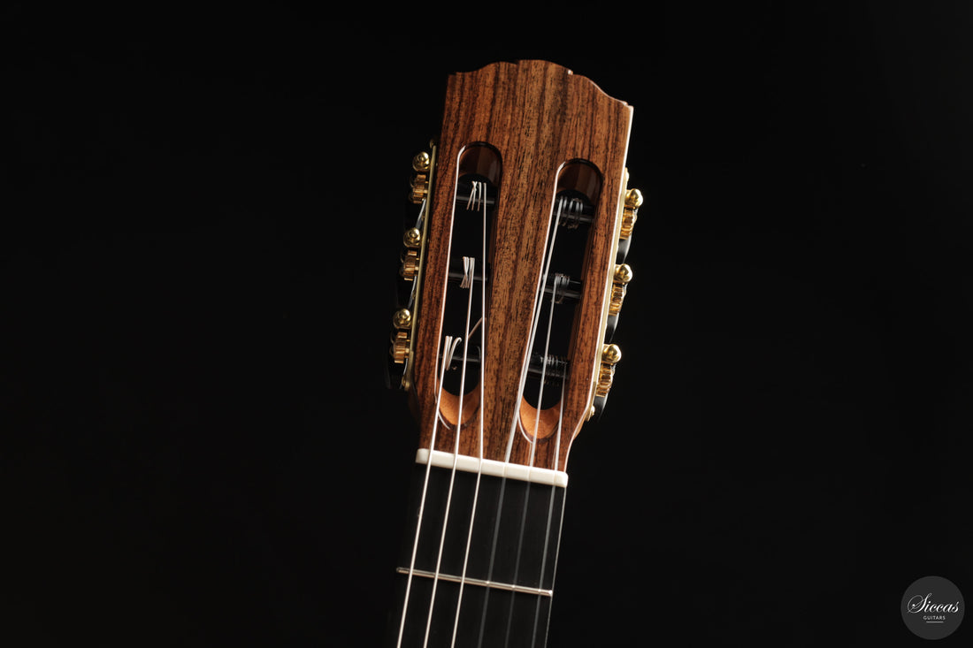 Siccas Luthiers - Continuum Lattice Cedar 64 cm