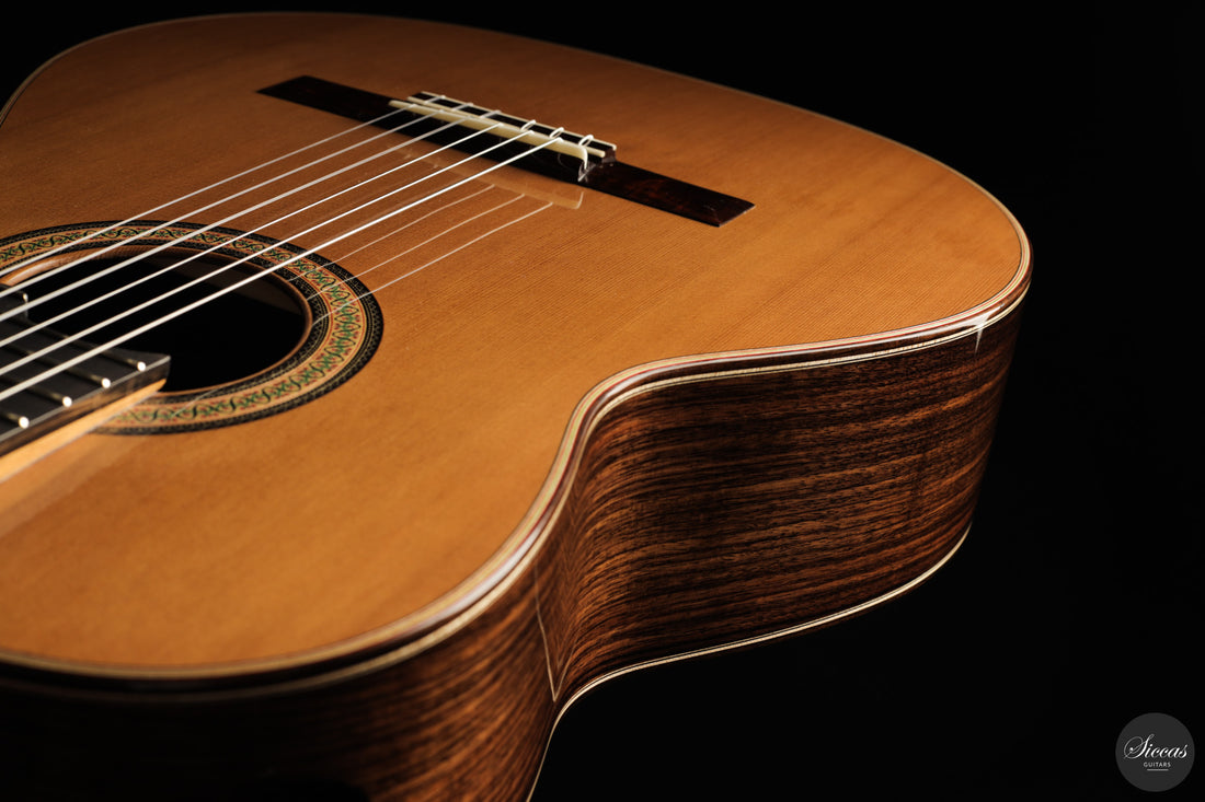 Siccas Luthiers - Continuum Lattice Cedar